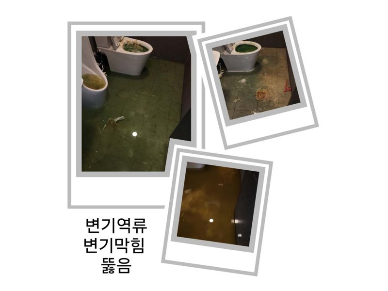 종로구 1층 화장실로 물이 올라올 때 확인할 것
